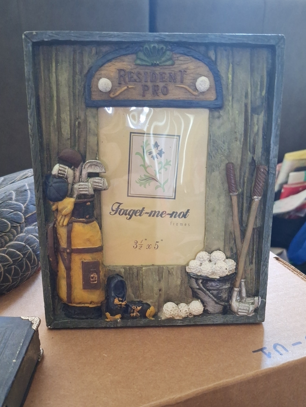 'Resident Pro' Golf Accent Picture Frame in Green and Yellow